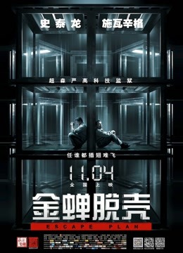 AI换脸郑爽无套内射 167MB